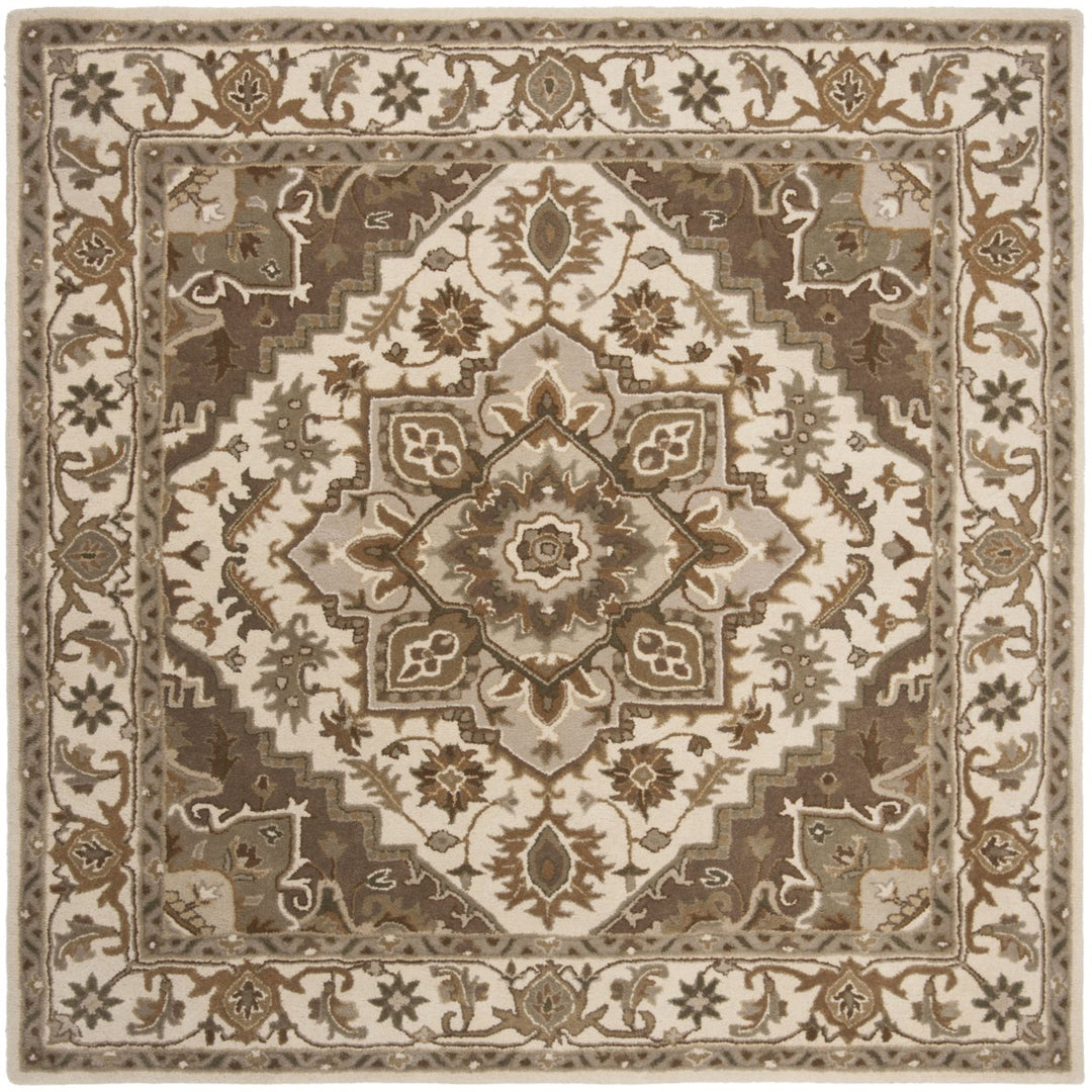 SAFAVIEH Royalty ROY700B Handmade Beige / Sage Rug Image 6