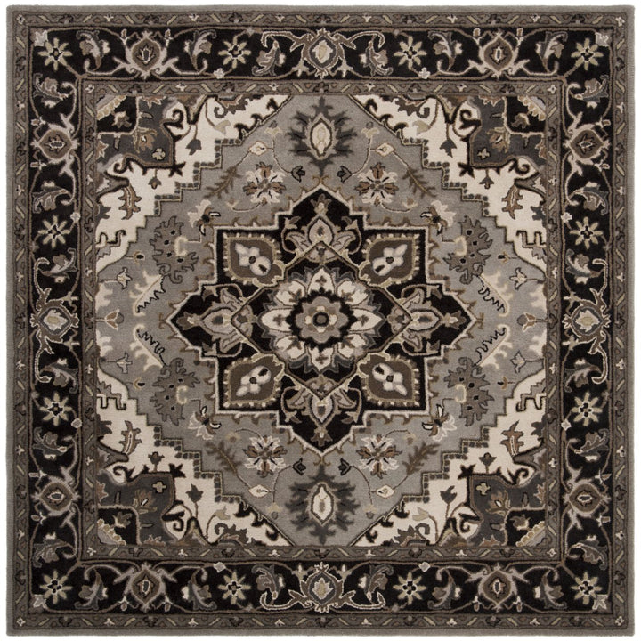 SAFAVIEH Royalty ROY700G Handmade Silver / Charcoal Rug Image 1