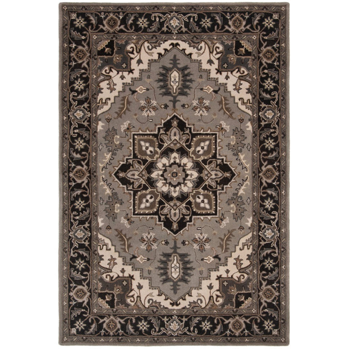 SAFAVIEH Royalty ROY700G Handmade Silver / Charcoal Rug Image 1