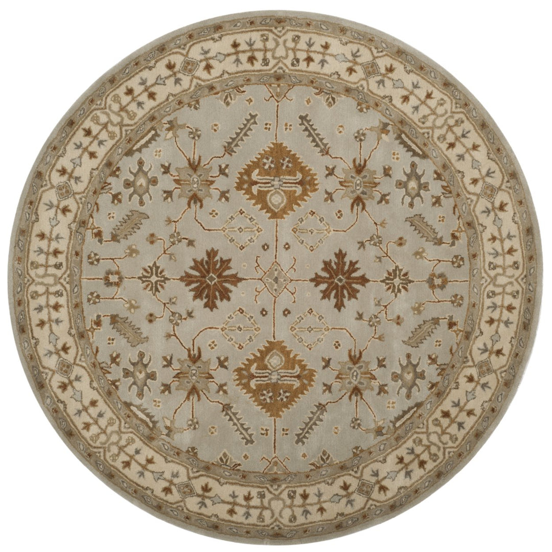 SAFAVIEH Royalty ROY870B Handmade Light Grey / Cream Rug Image 1