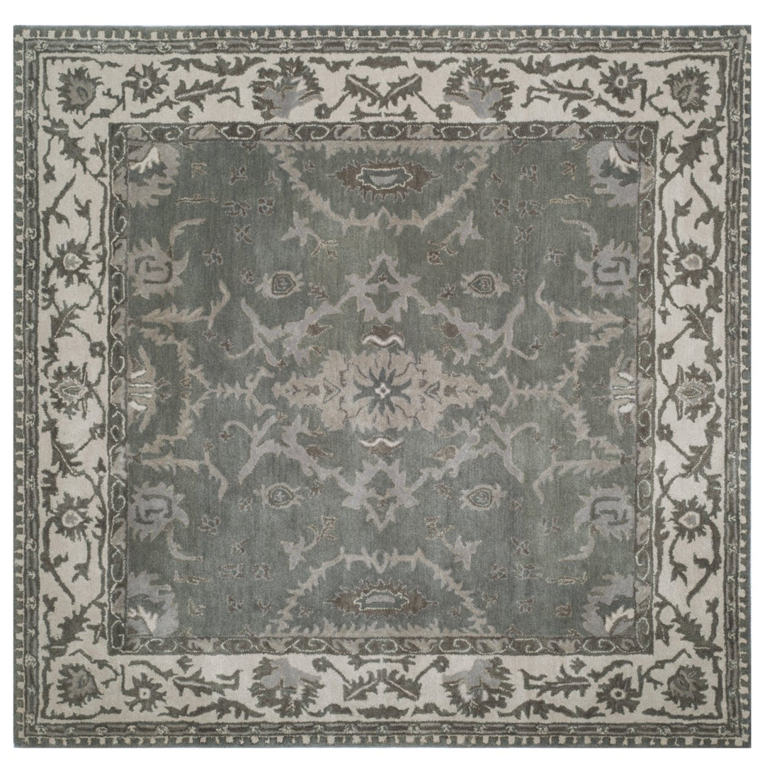 SAFAVIEH Royalty ROY993A Handmade Grey / Cream Rug Image 6