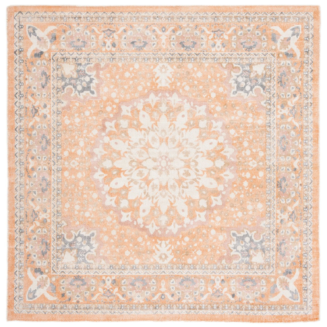 SAFAVIEH Restoration Vintage RVT710P Rust / Orange Rug Image 6