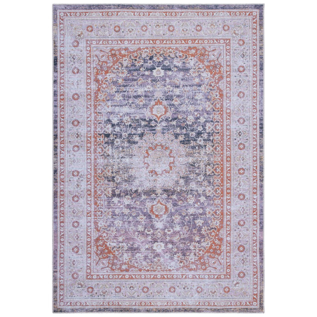 SAFAVIEH Serapi Collection SEP550F Grey / Light Grey Rug Image 1