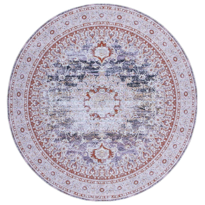 SAFAVIEH Serapi Collection SEP550F Grey / Light Grey Rug Image 1