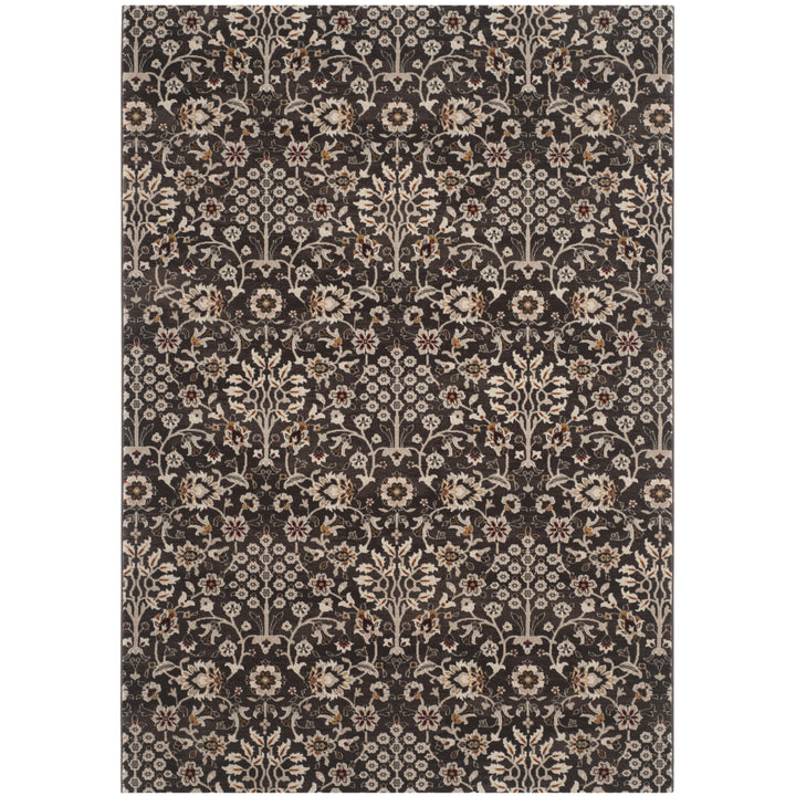 SAFAVIEH Serenity Collection SER209H Brown / Creme Rug Image 5