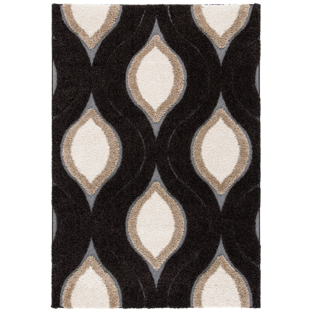 SAFAVIEH Florida Shag SG461-2812 Dark Brown / Ivory Rug Image 1