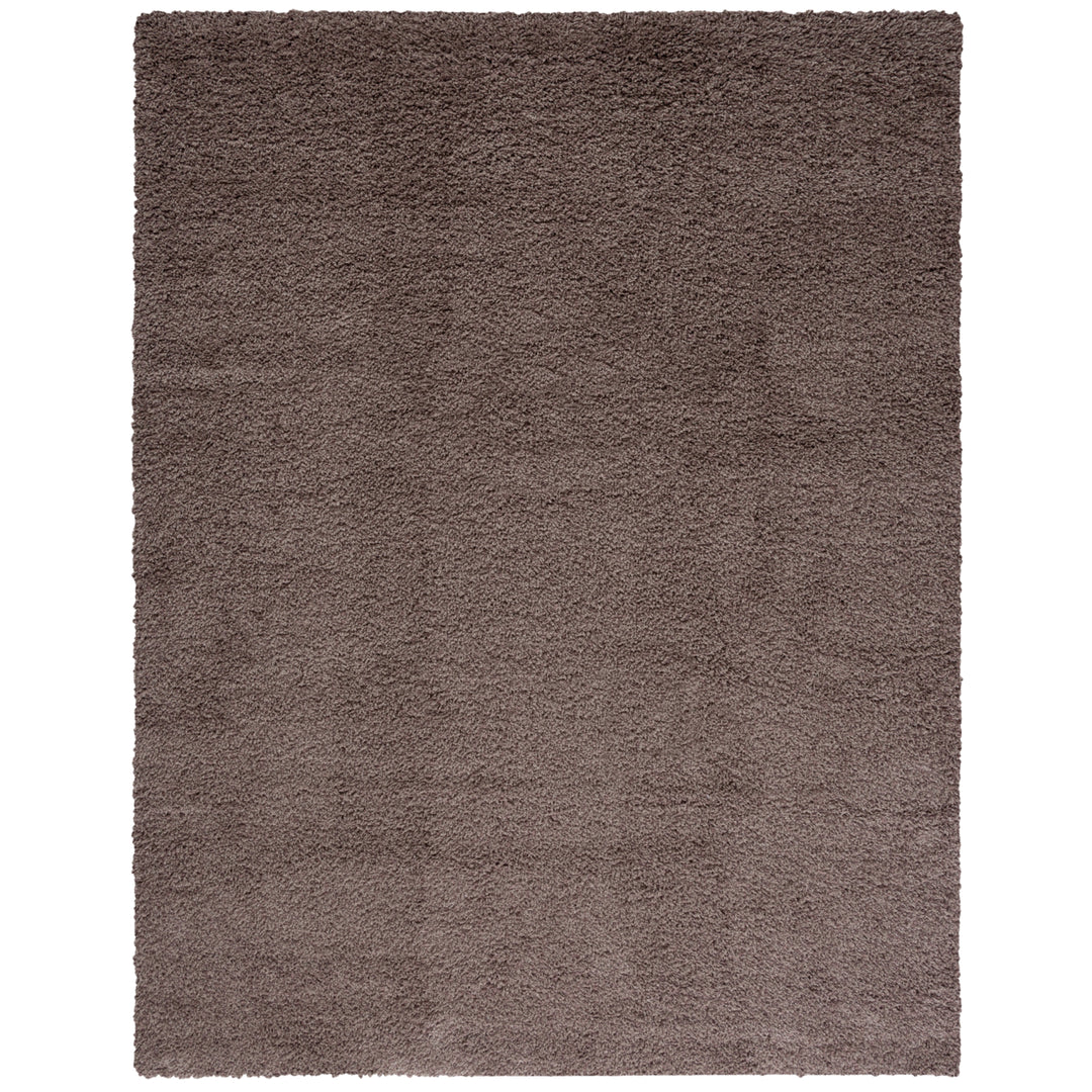 SAFAVIEH Santa Monica Shag SGN725-2424 Taupe Rug Image 1