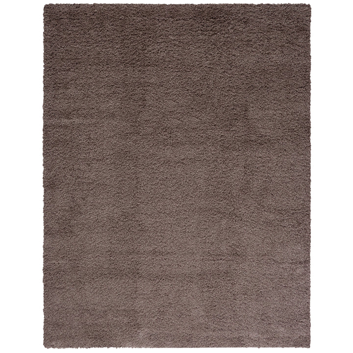 SAFAVIEH Santa Monica Shag SGN725-2424 Taupe Rug Image 1