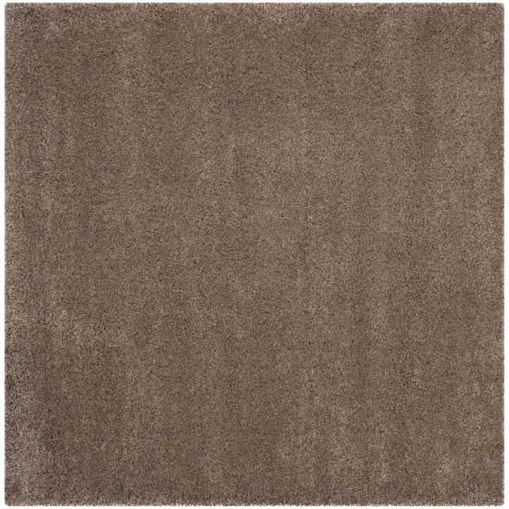 SAFAVIEH Santa Monica Shag SGN725-2424 Taupe Rug Image 8