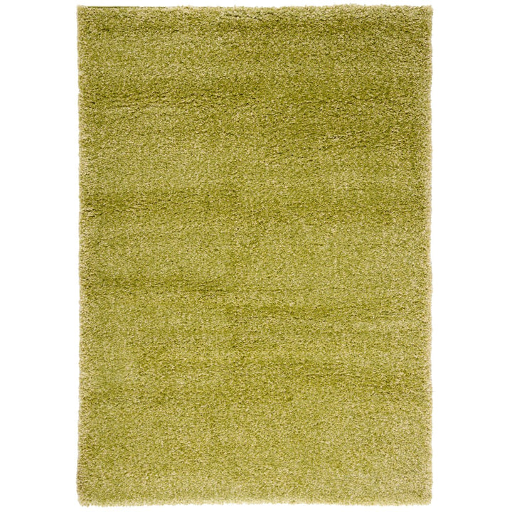 SAFAVIEH Santa Monica Shag SGN725-5252 Green Rug Image 5