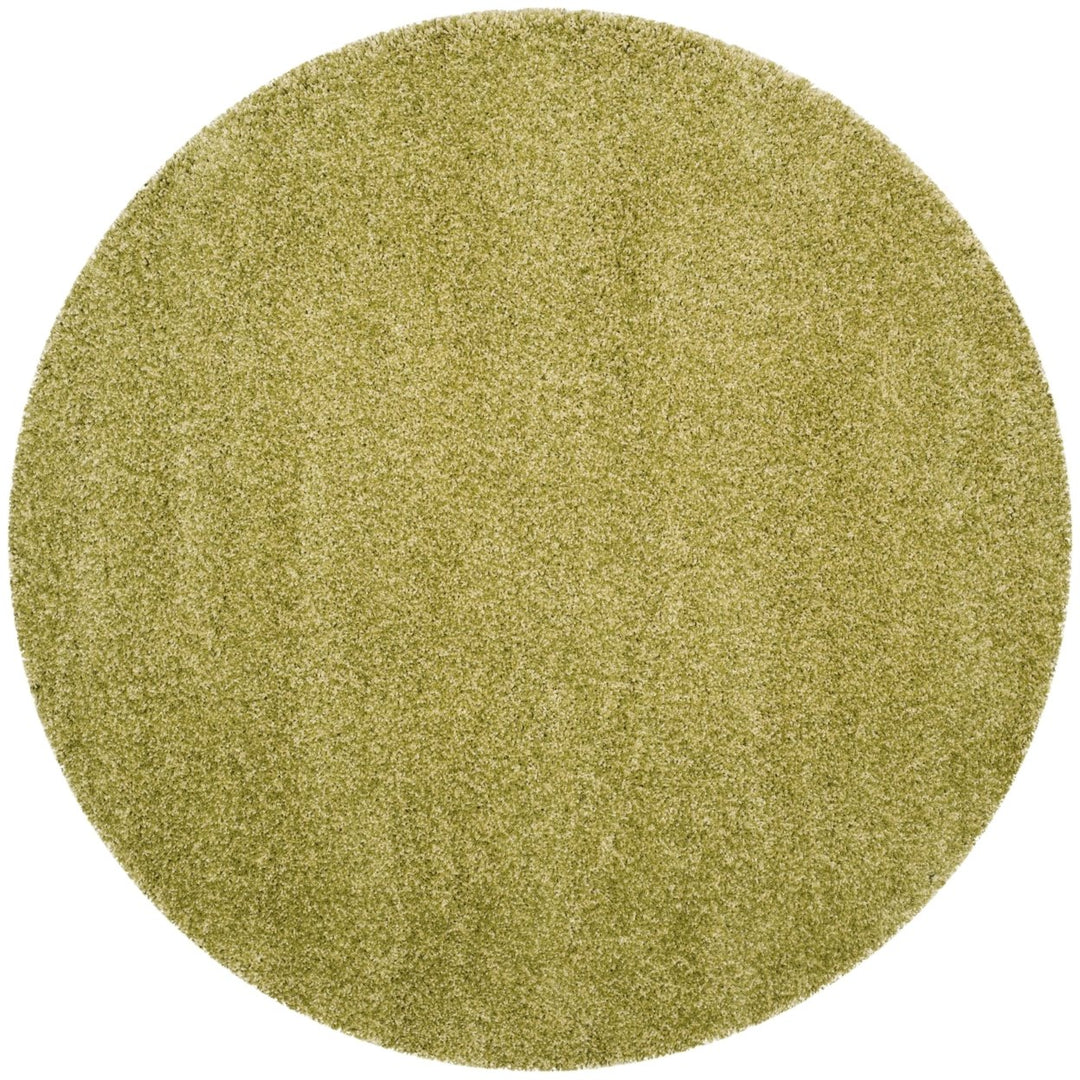 SAFAVIEH Santa Monica Shag SGN725-5252 Green Rug Image 1