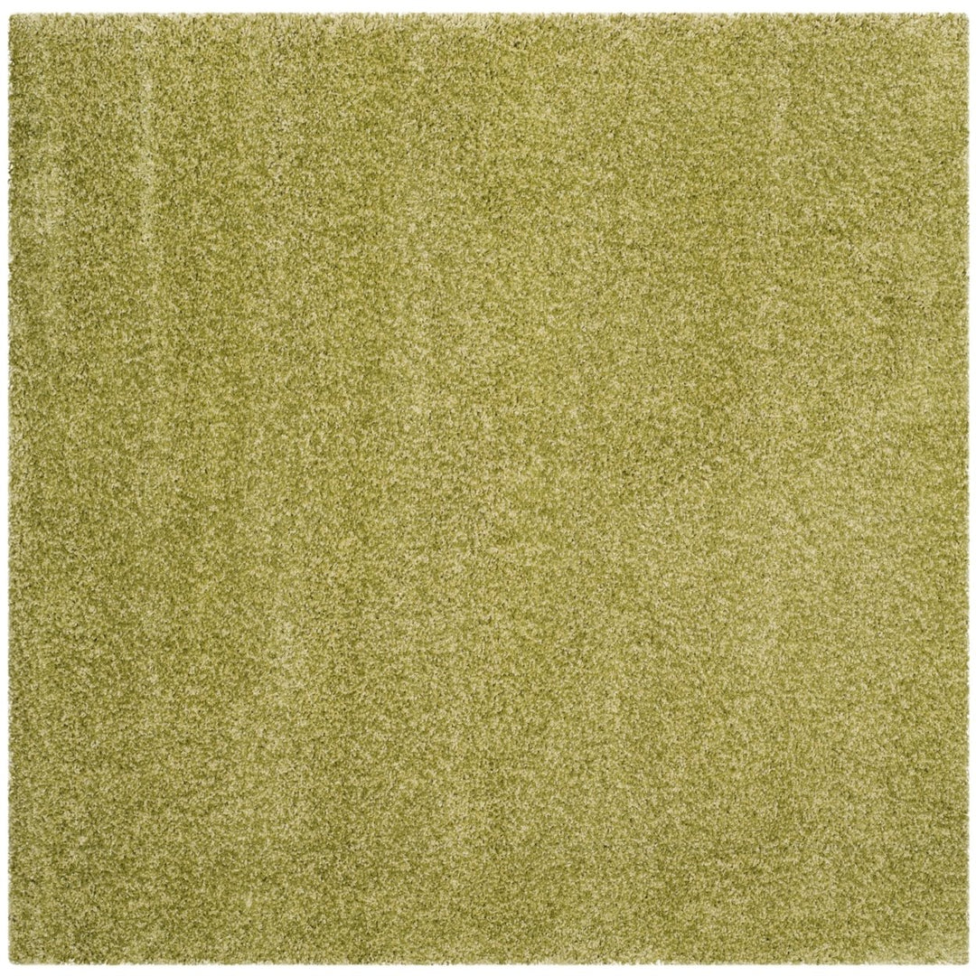 SAFAVIEH Santa Monica Shag SGN725-5252 Green Rug Image 7