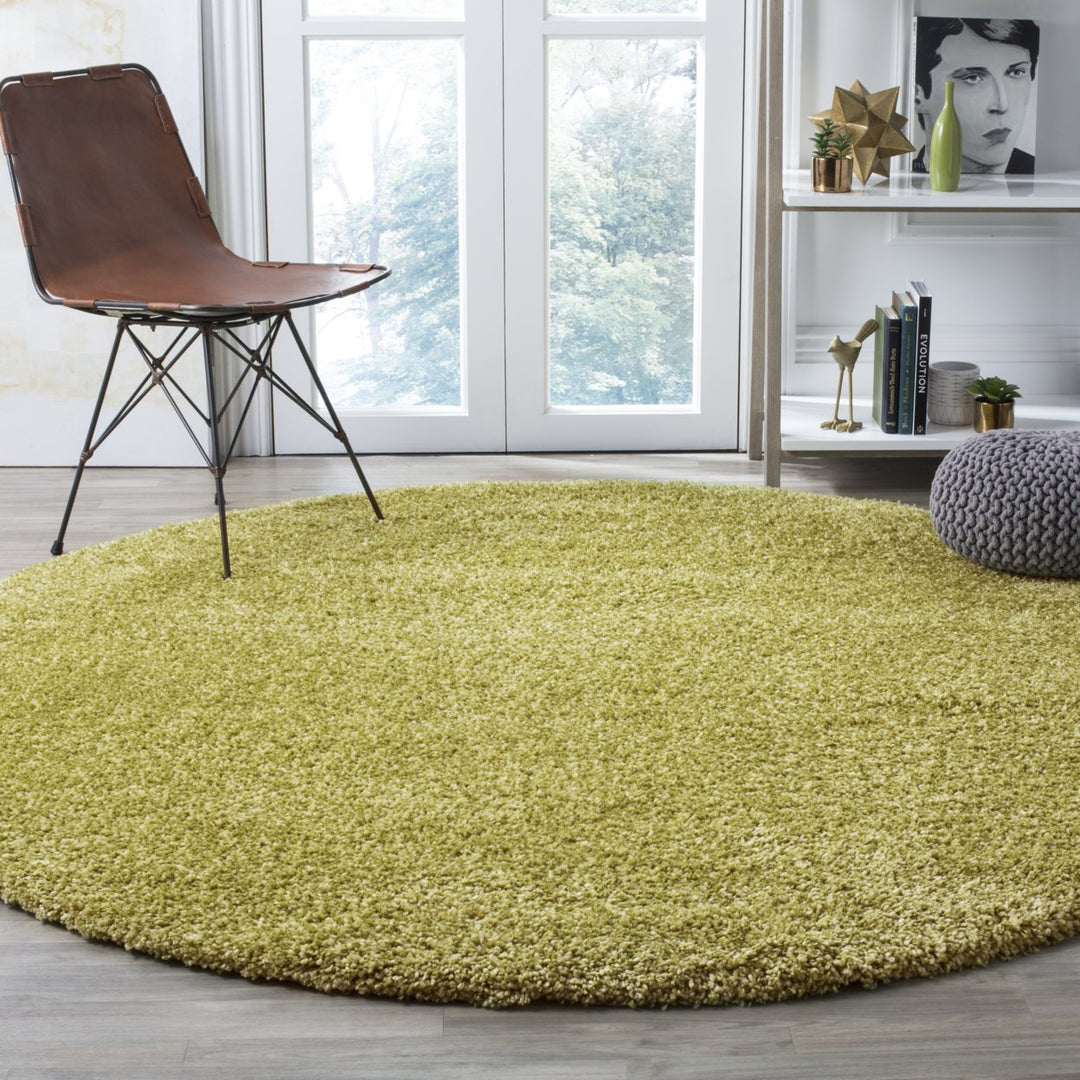 SAFAVIEH Santa Monica Shag SGN725-5252 Green Rug Image 8