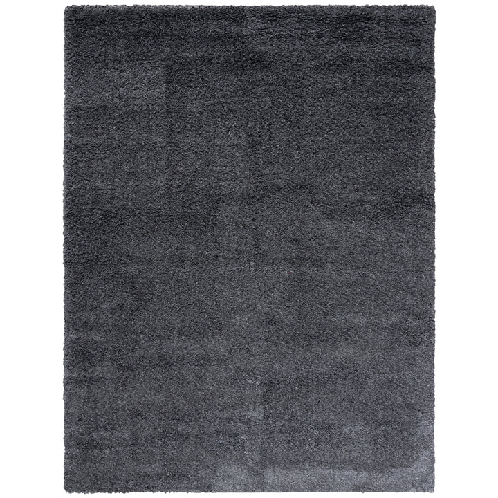 SAFAVIEH Santa Monica Shag SGN725-8484 Dark Grey Rug Image 1