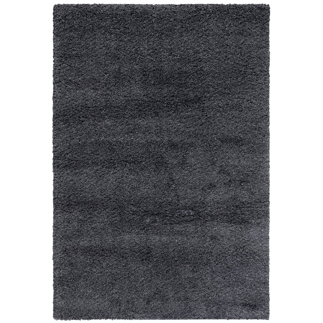 SAFAVIEH Santa Monica Shag SGN725-8484 Dark Grey Rug Image 1