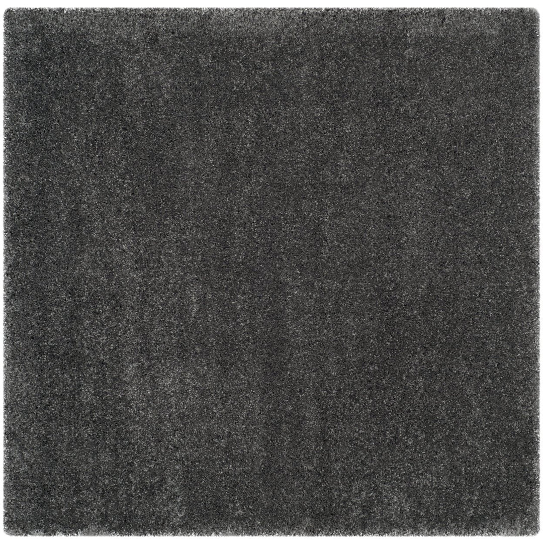 SAFAVIEH Santa Monica Shag SGN725-8484 Dark Grey Rug Image 1