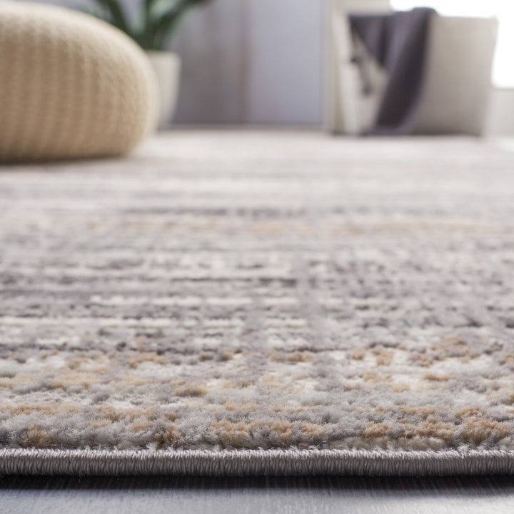 SAFAVIEH Shivan SHV191F Light Grey / Dark Grey Rug Image 7