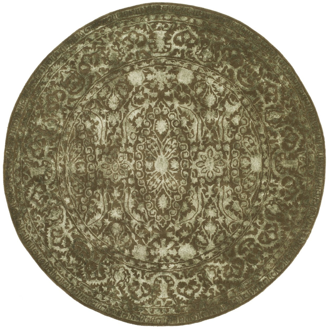 Safavieh SKR213D Silk Road Sage / Sage Image 1