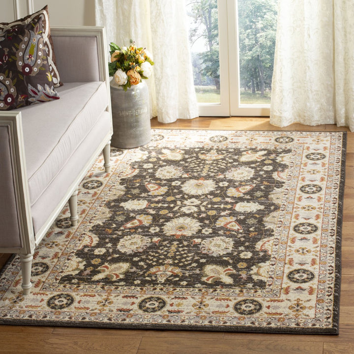 SAFAVIEH Summit Collection SMT418T Brown / Creme Rug Image 1