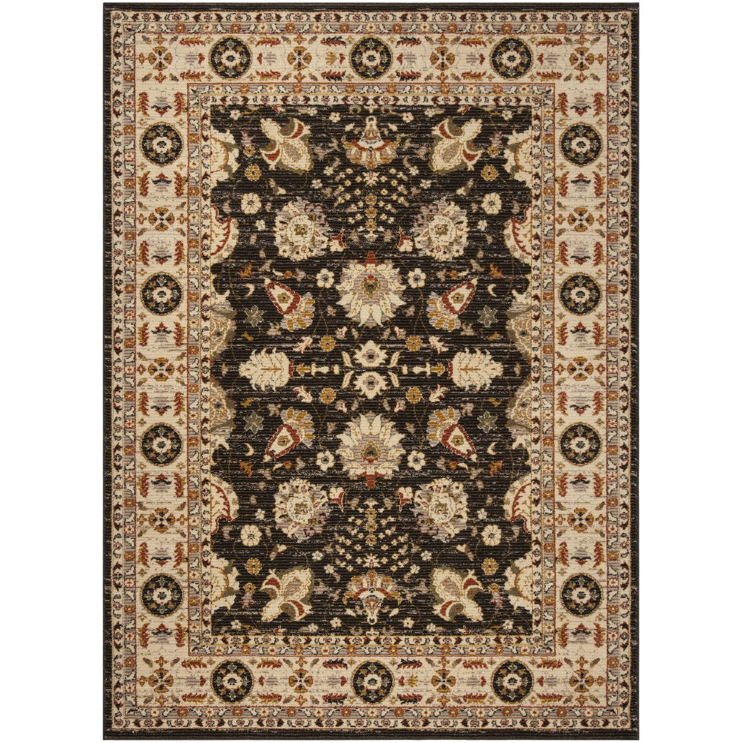 SAFAVIEH Summit Collection SMT418T Brown / Creme Rug Image 1