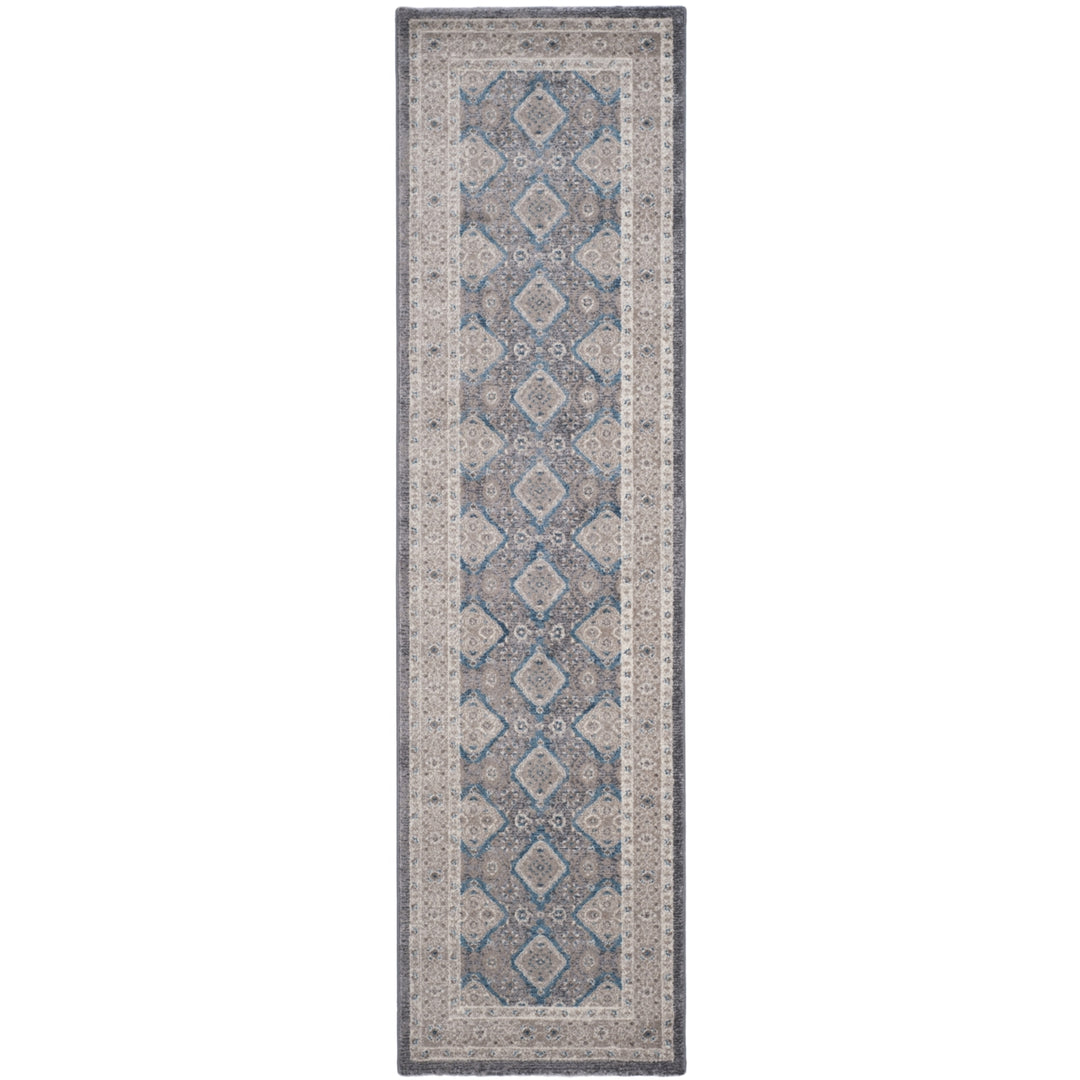 SAFAVIEH Sofia Collection SOF366B Light Grey / Beige Rug Image 5