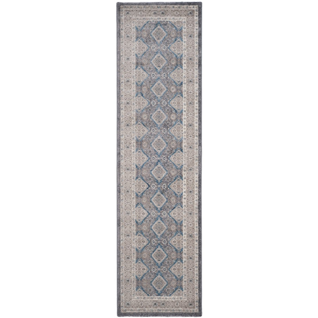 SAFAVIEH Sofia Collection SOF366B Light Grey / Beige Rug Image 1