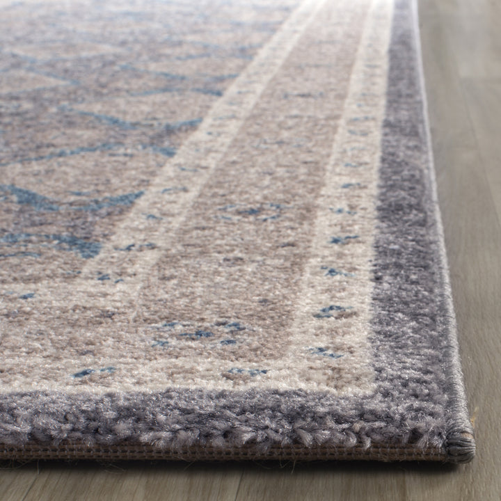 SAFAVIEH Sofia Collection SOF366B Light Grey / Beige Rug Image 7