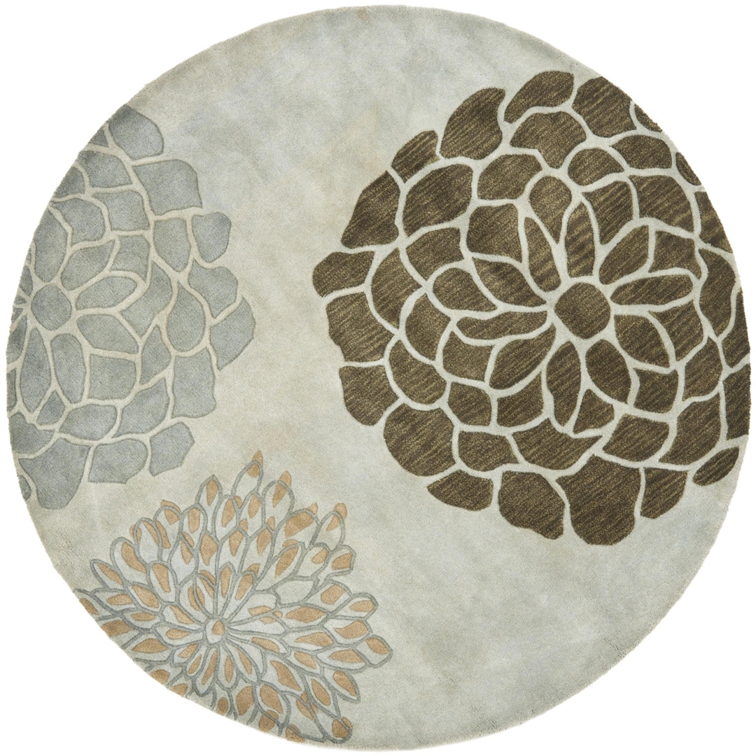 SAFAVIEH Soho Collection SOH211A Handmade Light Grey Rug Image 4