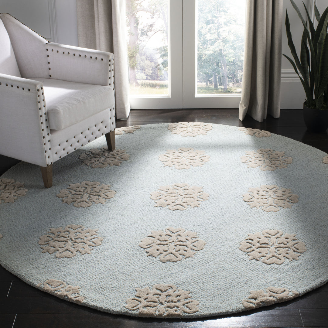 SAFAVIEH Soho SOH213B Handmade Light Blue / Beige Rug Image 2