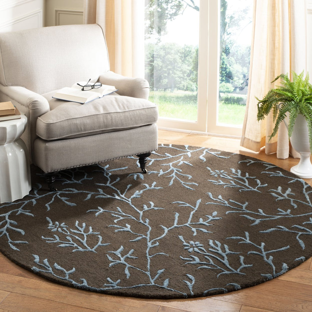 SAFAVIEH Soho SOH214B Handmade Brown / Light Blue Rug Image 2