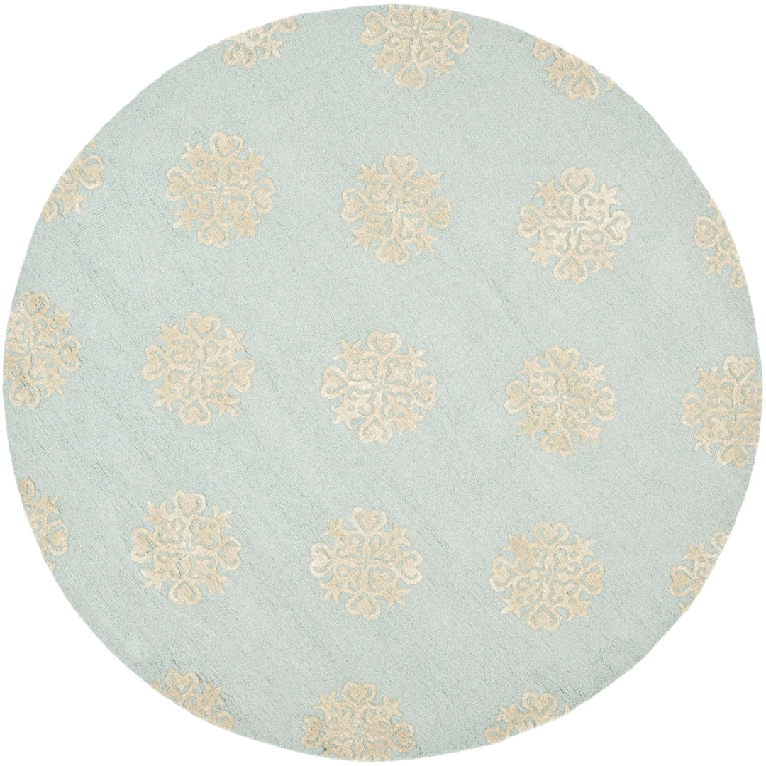 SAFAVIEH Soho SOH213B Handmade Light Blue / Beige Rug Image 4