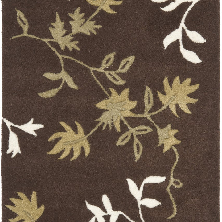 SAFAVIEH Soho Collection SOH313D Handmade Brown Rug Image 1