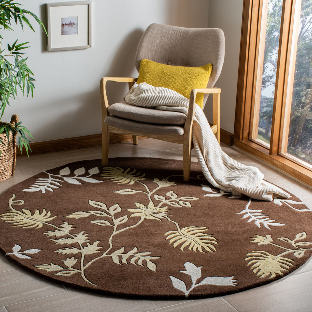 SAFAVIEH Soho Collection SOH313D Handmade Brown Rug Image 8