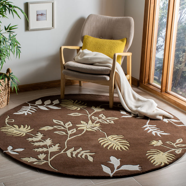 SAFAVIEH Soho Collection SOH313D Handmade Brown Rug Image 8