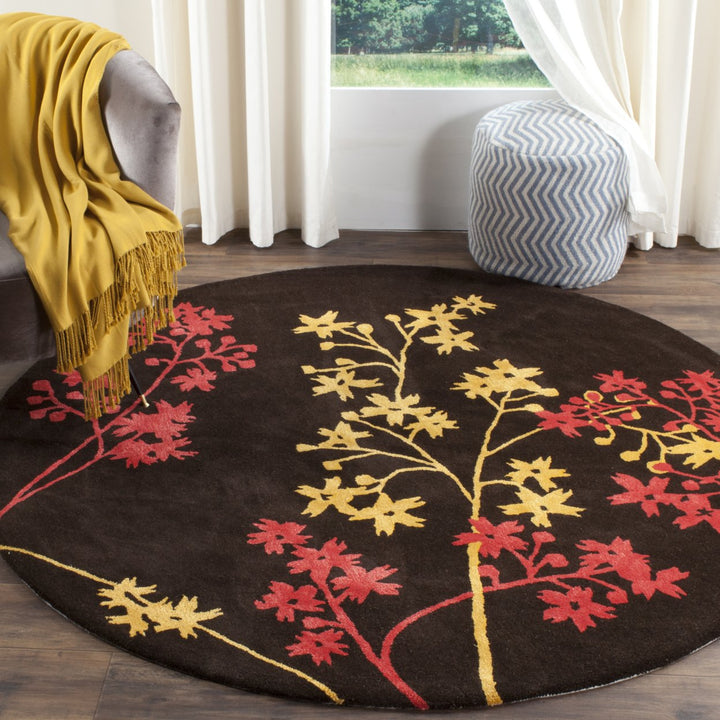 SAFAVIEH Soho Collection SOH316A Handmade Brown / Red Rug Image 10
