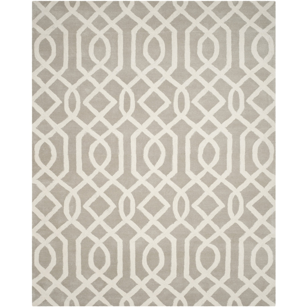 SAFAVIEH Soho Collection SOH411B Handmade Grey/Ivory Rug Image 1