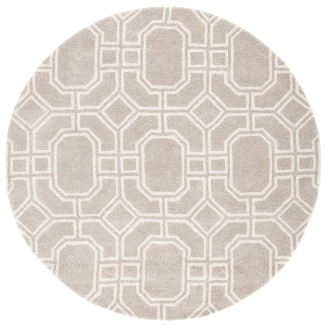 SAFAVIEH Soho Collection SOH414B Handmade Grey/Ivory Rug Image 1