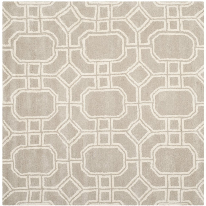 SAFAVIEH Soho Collection SOH414B Handmade Grey/Ivory Rug Image 1