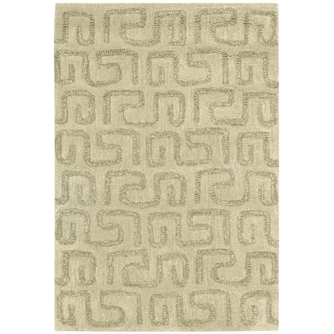 SAFAVIEH Soho Collection SOH416D Handmade Light Green Rug Image 7