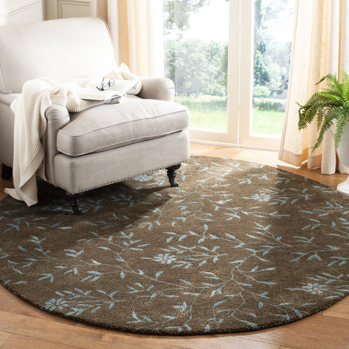 SAFAVIEH Soho SOH418A Handmade Brown / Light Blue Rug Image 2