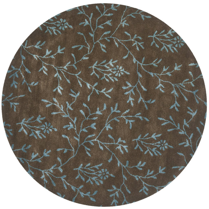 SAFAVIEH Soho SOH418A Handmade Brown / Light Blue Rug Image 4