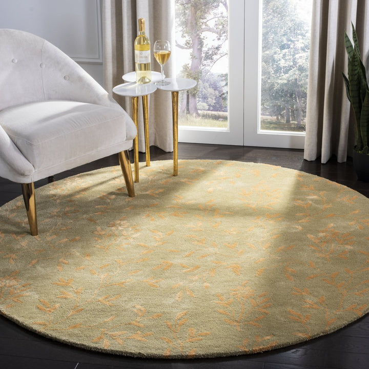 SAFAVIEH Soho Collection SOH418D Handmade Sage / Rust Rug Image 2