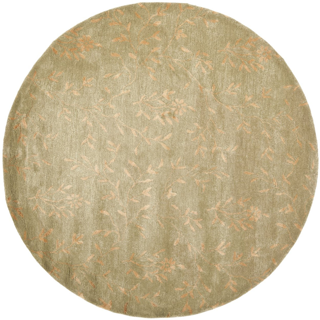 SAFAVIEH Soho Collection SOH418D Handmade Sage / Rust Rug Image 4