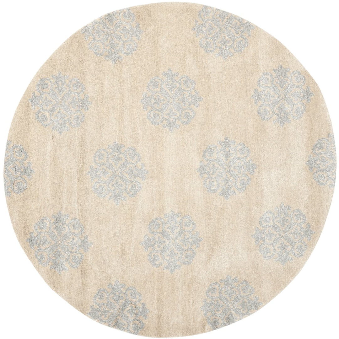 SAFAVIEH Soho Collection SOH424D Handmade Beige Rug Image 1