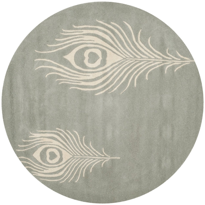 SAFAVIEH Soho Collection SOH704C Handmade Grey/Ivory Rug Image 1