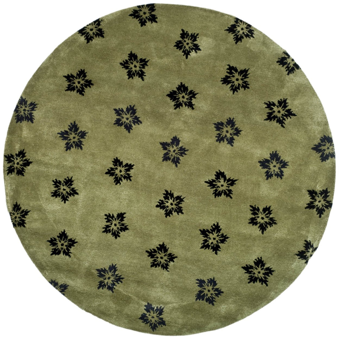 SAFAVIEH Soho Collection SOH720A Handmade Sage/Black Rug Image 4