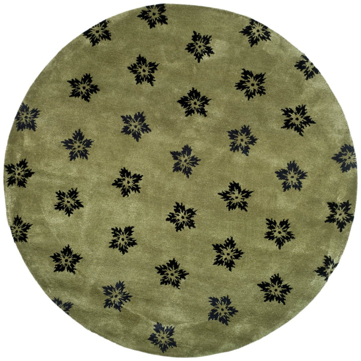 SAFAVIEH Soho Collection SOH720A Handmade Sage/Black Rug Image 1