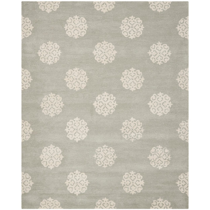 SAFAVIEH Soho Collection SOH724C Handmade Grey/Ivory Rug Image 1