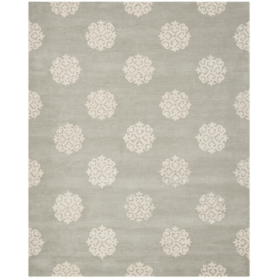 SAFAVIEH Soho Collection SOH724C Handmade Grey/Ivory Rug Image 1