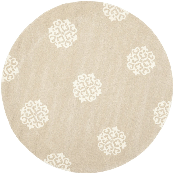 SAFAVIEH Soho SOH724B Handmade Beige / Ivory Rug Image 4